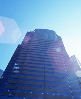 北京lewin乐玩生物科技有限公司 北京lewin乐玩生物科技有限公司