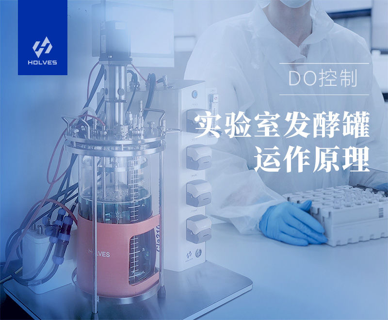 实验室发酵罐 实验室发酵罐