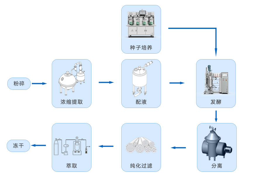 生物发酵提取流程图 生物发酵提取流程图