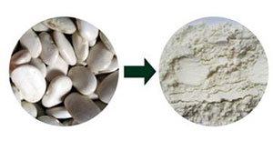 陶瓷膜过滤在芸豆提取物中的运用 陶瓷膜过滤在芸豆提取物中的运用