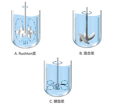 lewin乐玩发酵罐不同类型桨叶