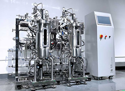 lewin乐玩发酵罐尾气处理